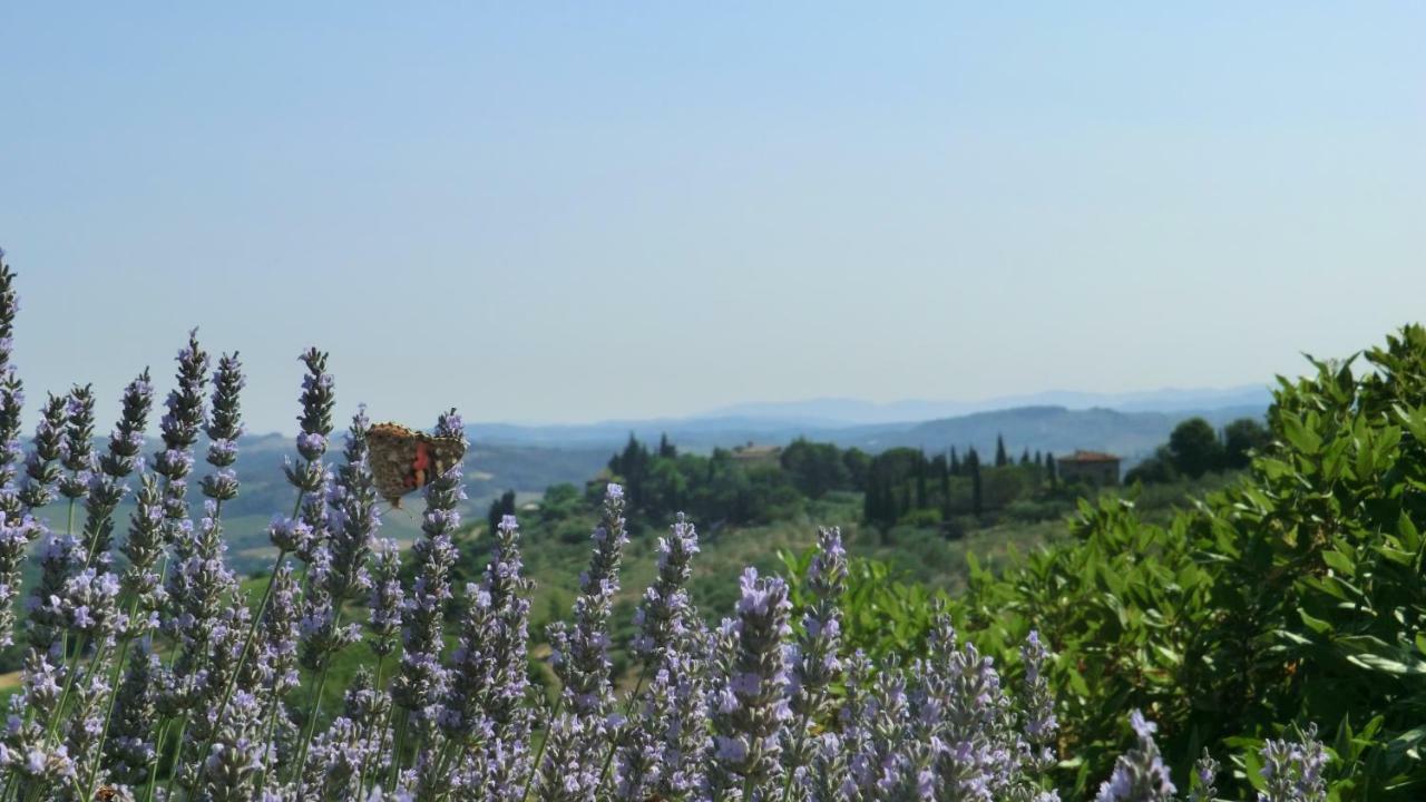 Appartamenti Ava E Tegrino Nell'Antica Dimora Di Fulignano San Gimignano Extérieur photo