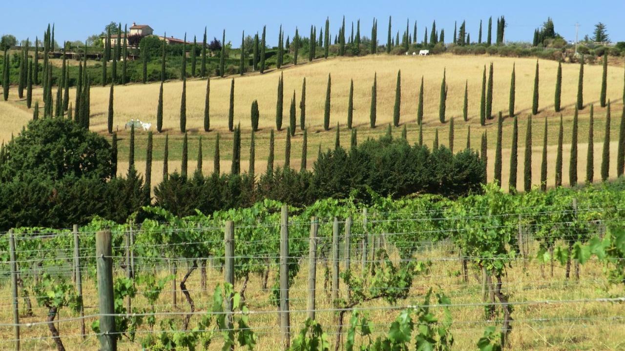 Appartamenti Ava E Tegrino Nell'Antica Dimora Di Fulignano San Gimignano Extérieur photo